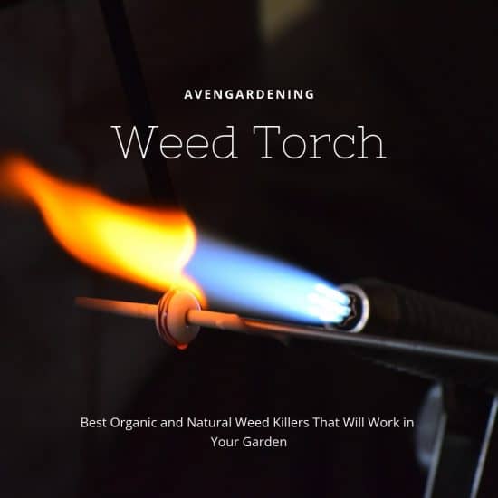 Weed Torch