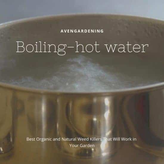 Boiling Hot Water