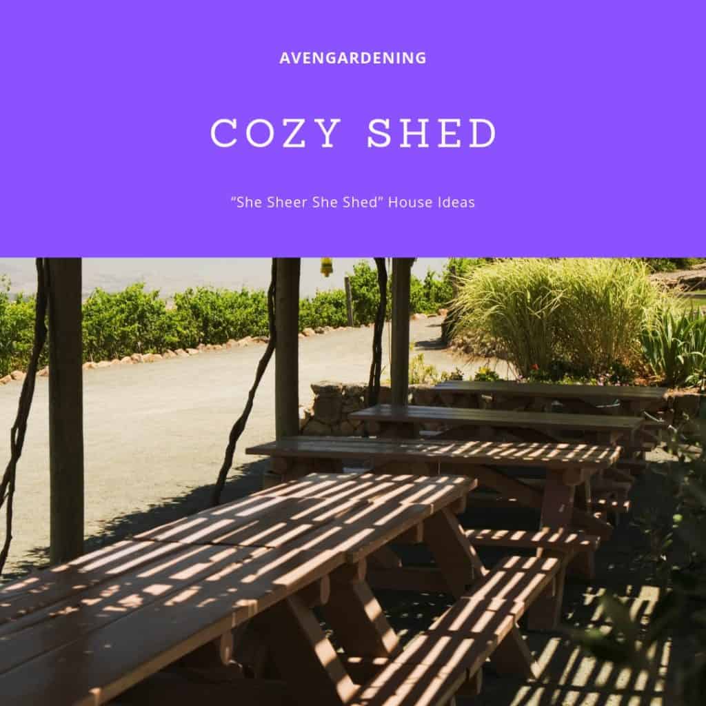 Cozy Shed