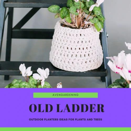 Re-purposed old ladder
