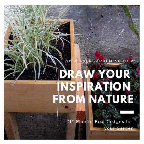 Draw your inspiration from nature 