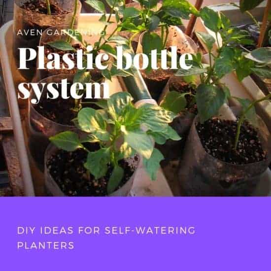 Plastic bottle drip system