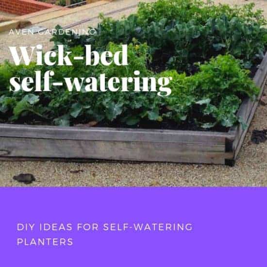 Mini self-watering wick bed 