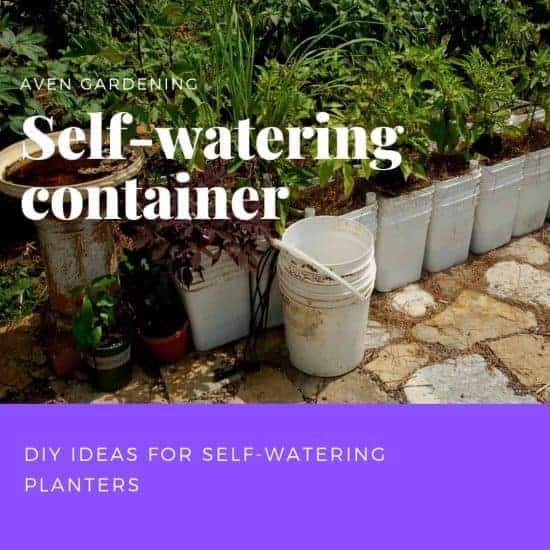 Self-watering container