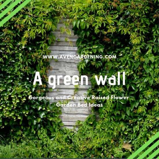 A green wall