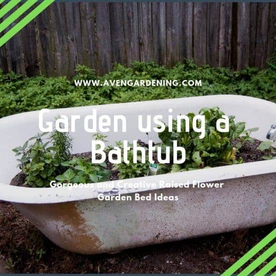 Garden using a Bathtub 