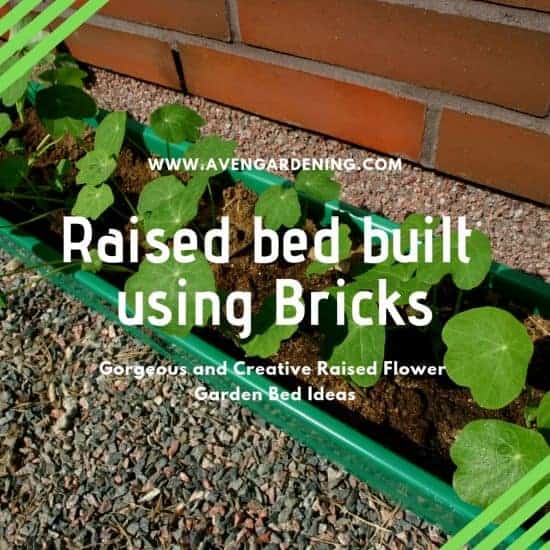 Raised bed built using Bricks