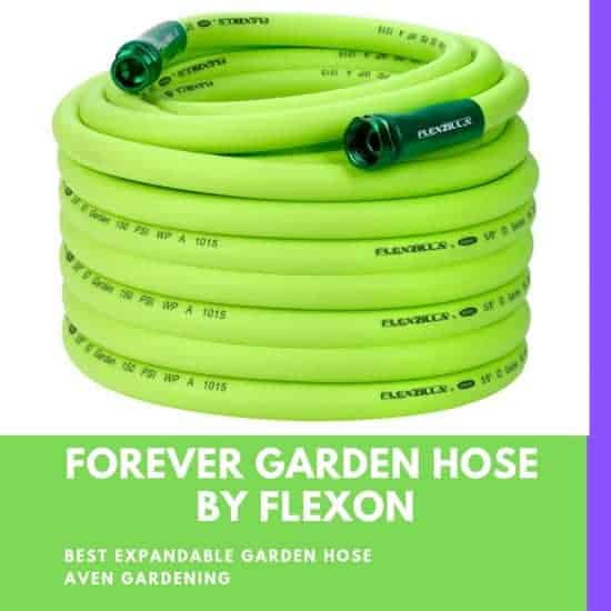 Forever Garden Hose by Flexon