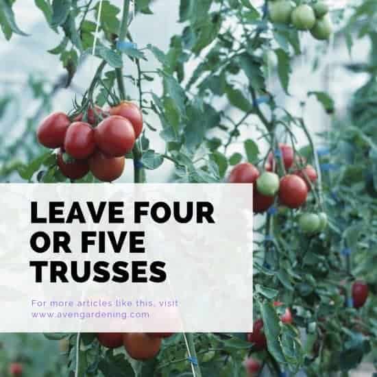 Leave four or Five Trusses
