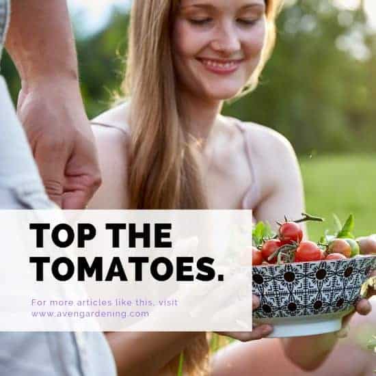 Top the tomatoes.