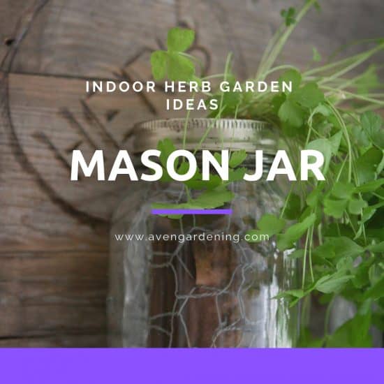Mason Jar