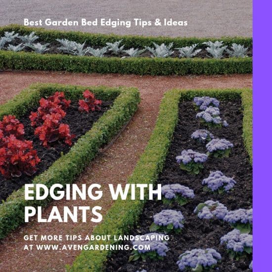 Edging with Plants