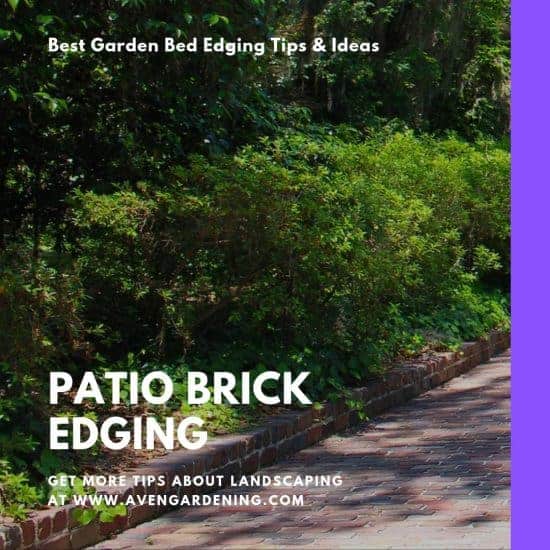 Patio Brick Edging