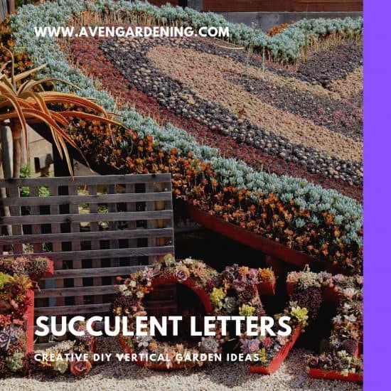 Succulent Letters
