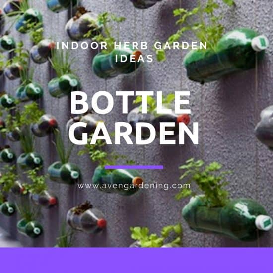 Bottle Garden
