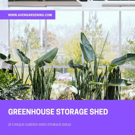 Greenhouse Storage Shed