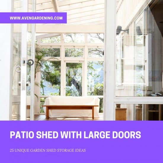 Patio Shed 