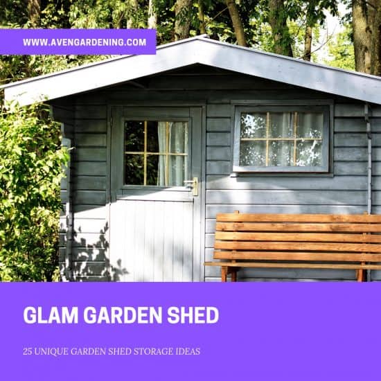 Glam Garden Shed