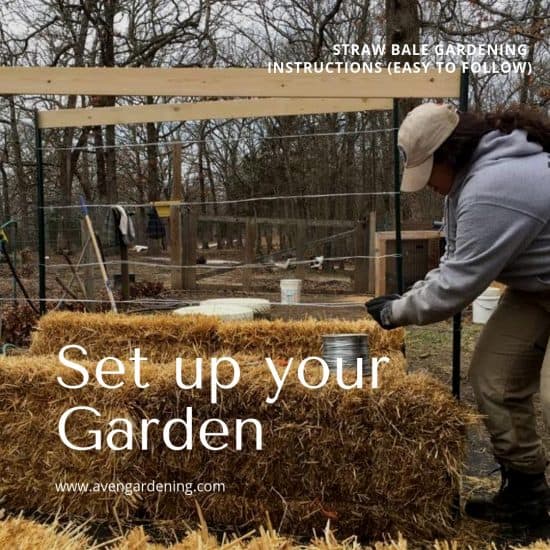 Set up Your garden