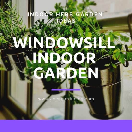Windowsill Indoor Garden