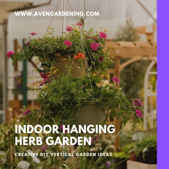 Indoor Hanging Garden