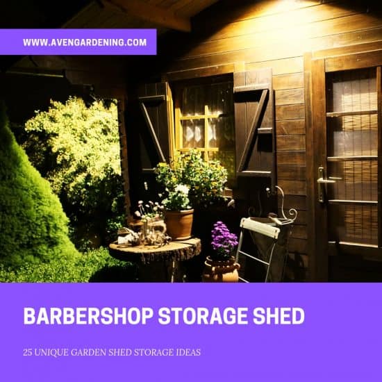 Barbershop Shed Storage