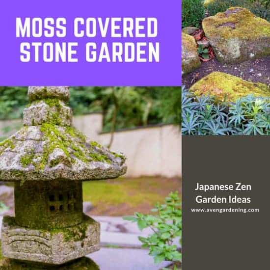 Japanese garden with moss covered stone 
