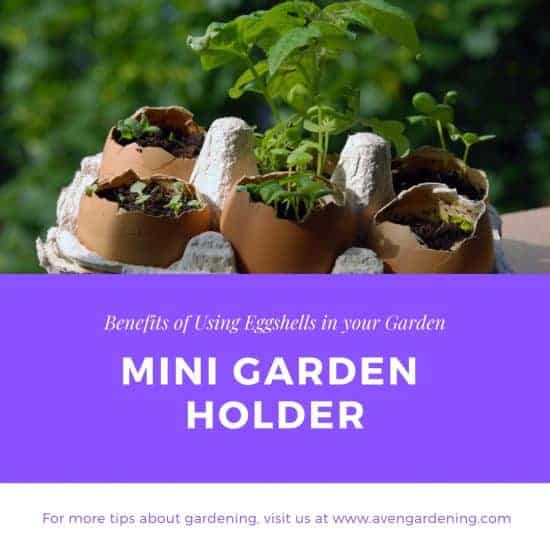 Mini Garden Holder