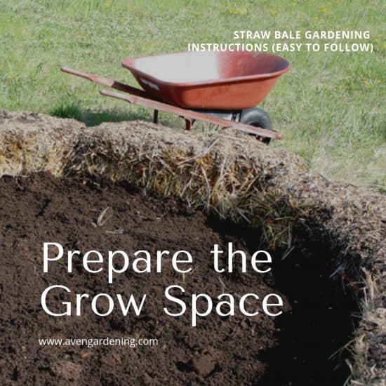 Prepare the grow Space