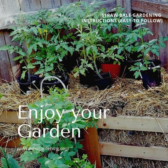 Enjoy your Garden