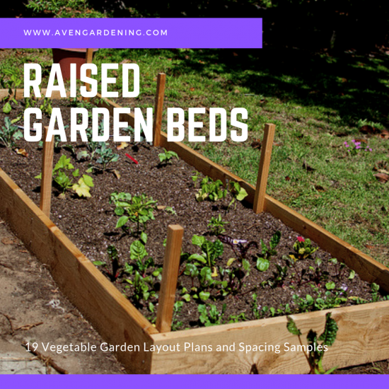 Raised Garden Beds 