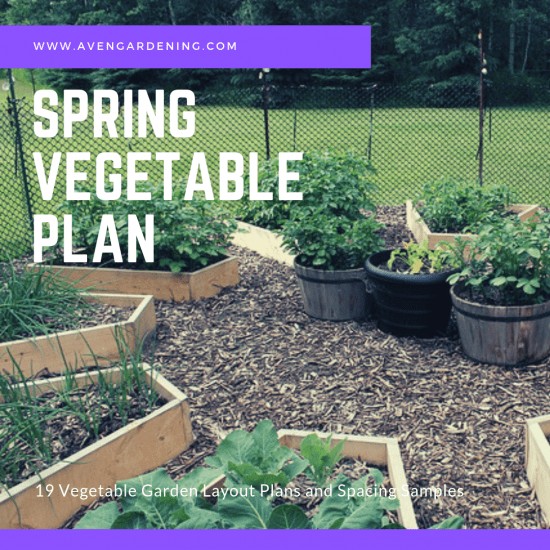 Spring Vegetable Plan 