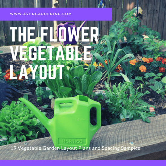 The Flower Vegetable Layout 