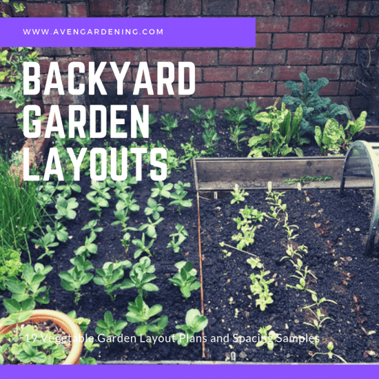 Backyard Garden Layouts 