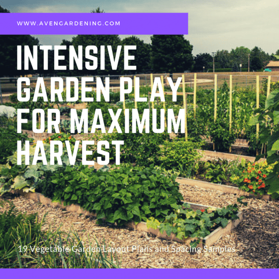 Intensive Garden Play for Maximum Harvest 