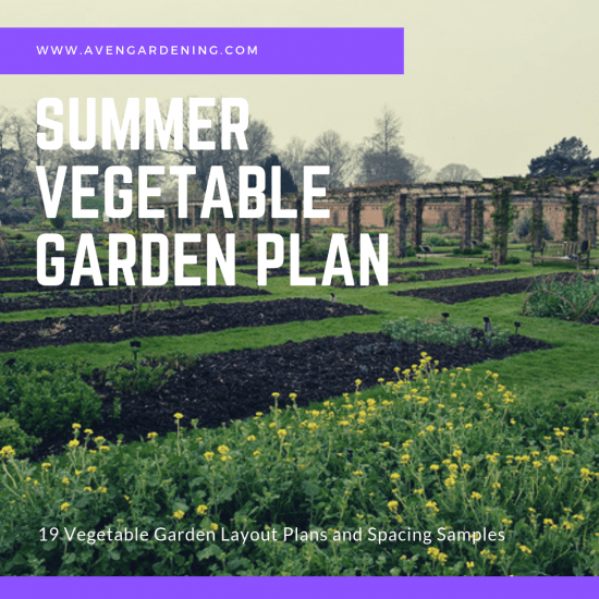 Summer Vegetable Garden Plan