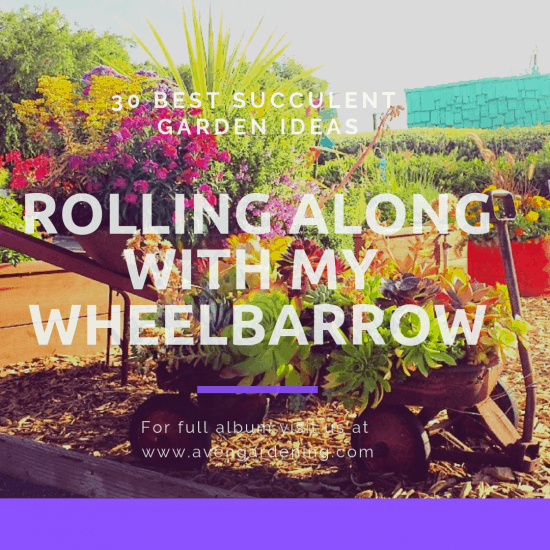 Rolling Along with my Wheelbarrow