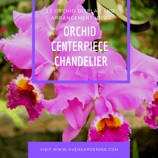 Orchid Centerpiece Chandelier