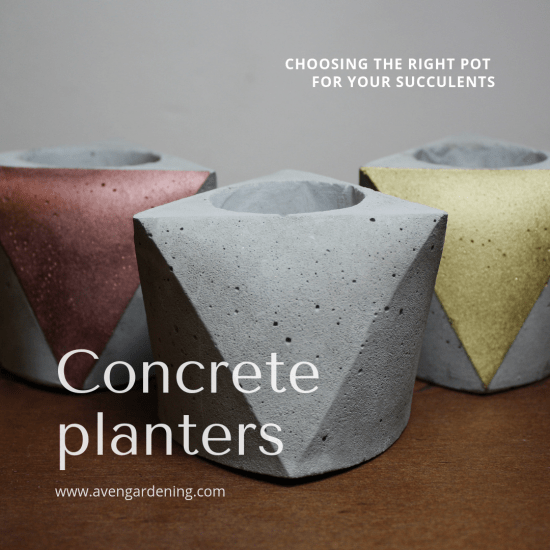 concrete planters