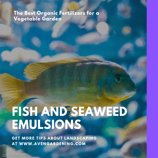 Fish and Seaweed Emulsions