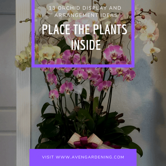 Place the Plants Inside