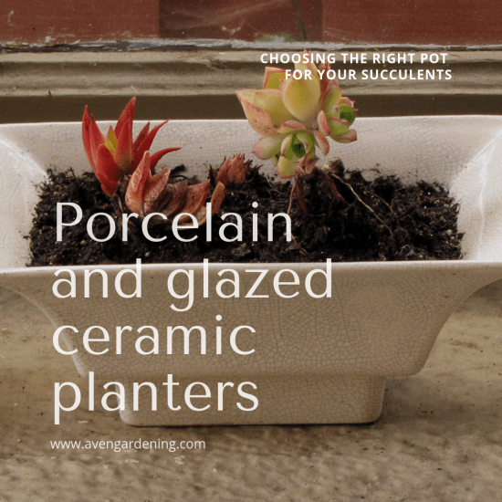 porcelain and glazed ceramics
