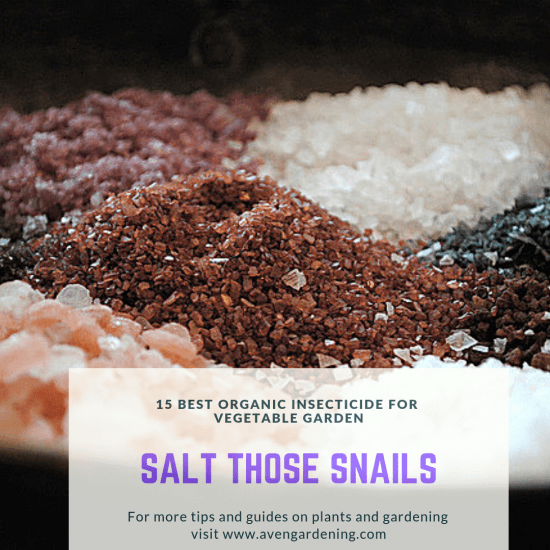 salt those snails