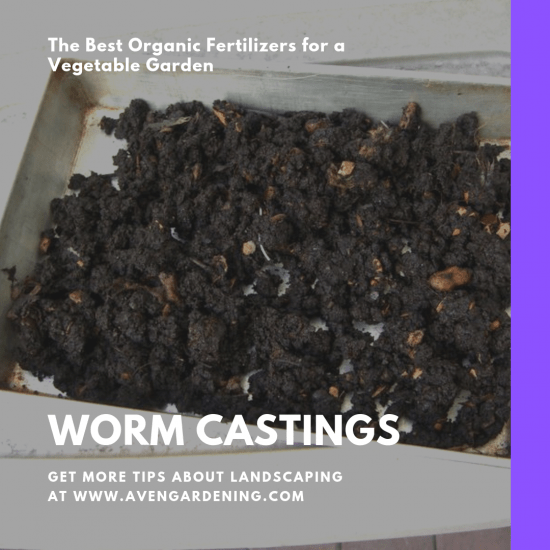 worm castings