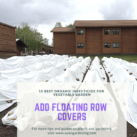 floating row covers