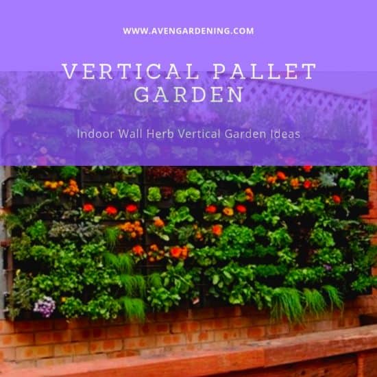 Vertical Pallet Garden