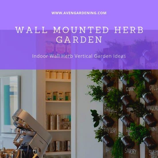 Wall Mounted Herb Garden