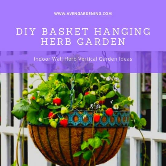 DIY Basket Hanging Herb Garden