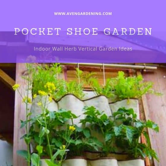 Pocket Shoe Garden
