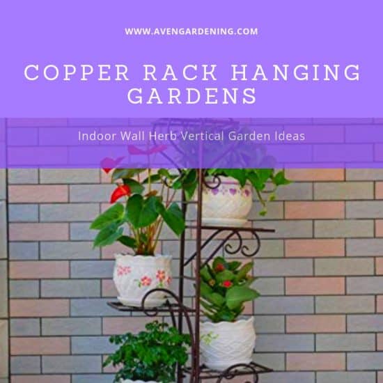 Copper Rack Hanging Gardens